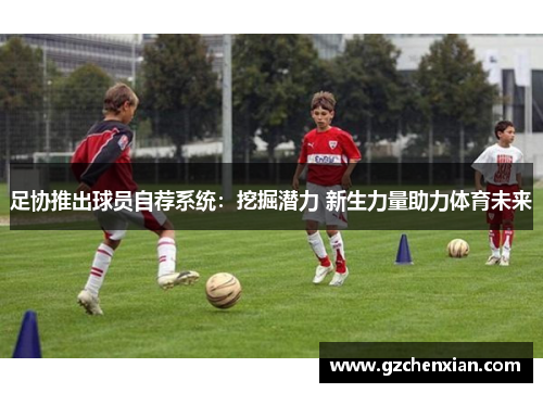 足协推出球员自荐系统：挖掘潜力 新生力量助力体育未来